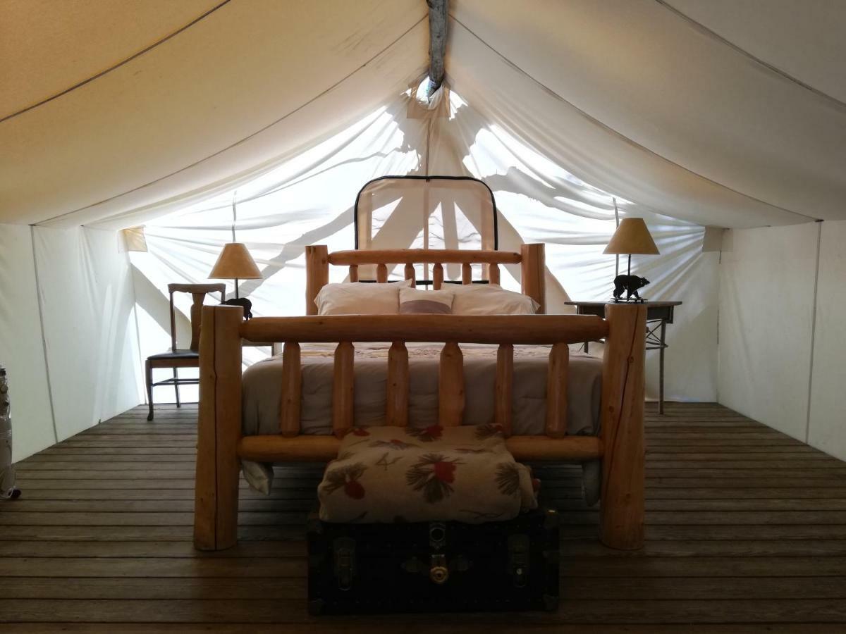 The Woods Inn