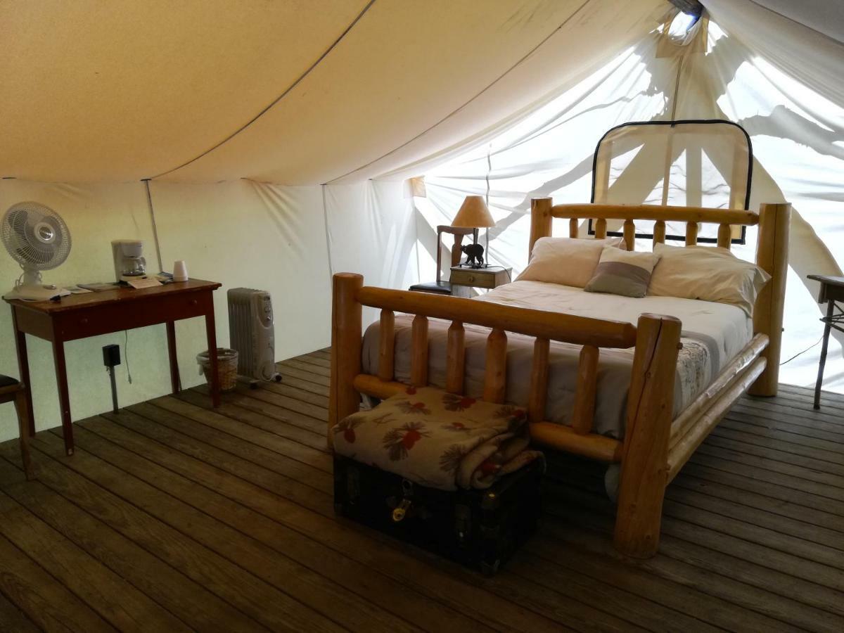 Inn The Woods